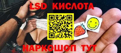 прущие грибы Белореченск