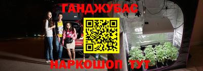 бошки Бердск