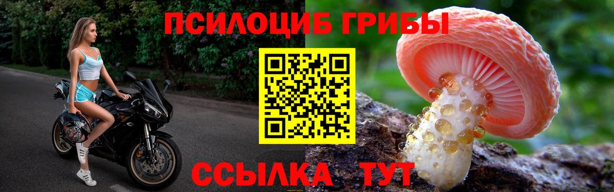 Псилоцибиновые грибы ЛСД Орск