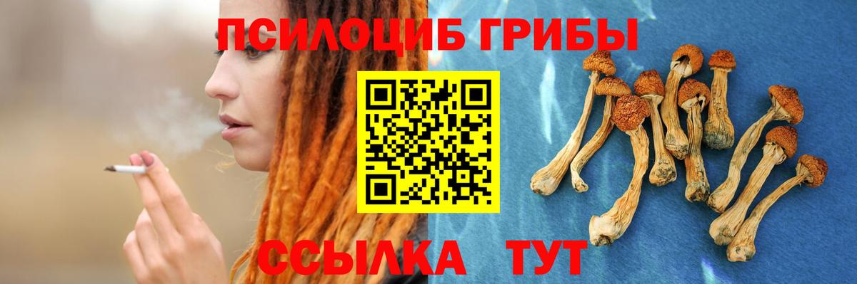 Галлюциногенные грибы MAGIC MUSHROOMS  Вход с VPN  купить закладку  Псилоцибиновые грибы мухоморы  Орск 